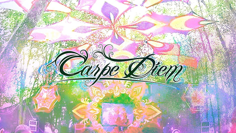 Carpe Diem Background, HD wallpaper | Peakpx