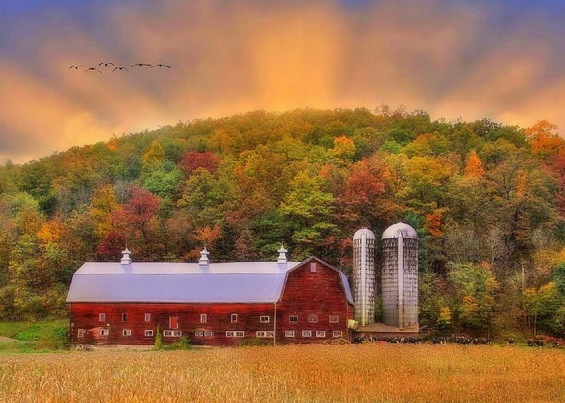 Autumn in Wellsboro, rural, fall, autumn, dawn, love four seasons, farms, attractions in dreams, country, graphy, sunrise, barns, HD wallpaper