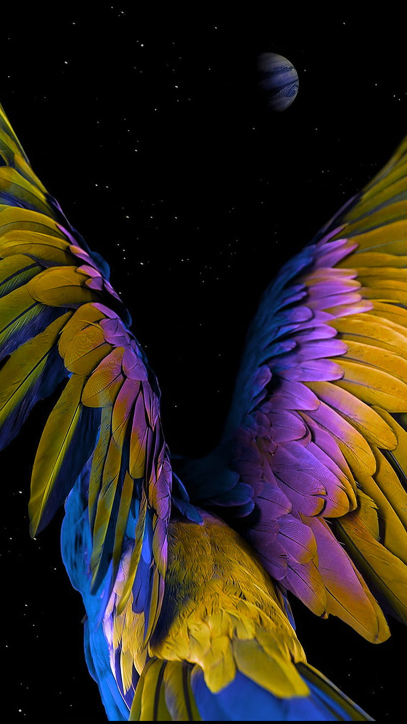 Flying parrot, bird, colorful, feather, fly, galaxy, planet, star, HD phone wallpaper