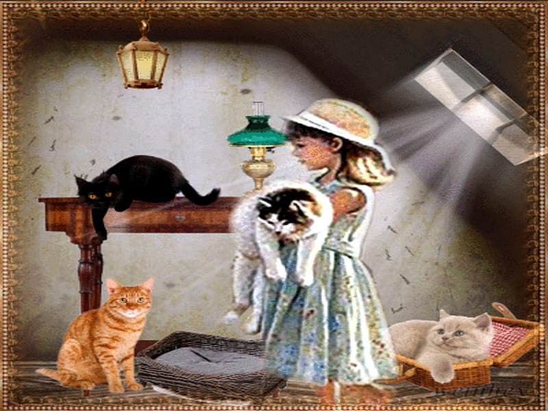 girl with cats, lovely, bonito, framed, cat, cute, girl, child, cats, animals, HD wallpaper
