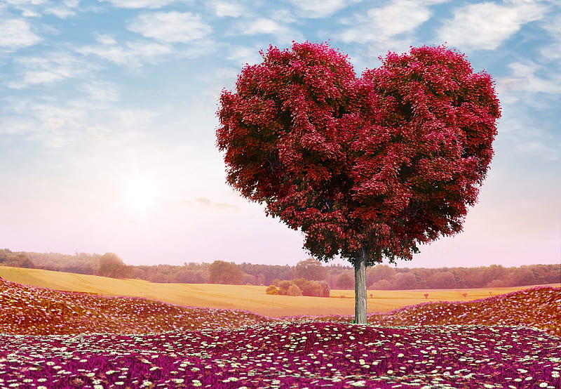Tree love, flowers, heart, corazones, para, sky, HD wallpaper