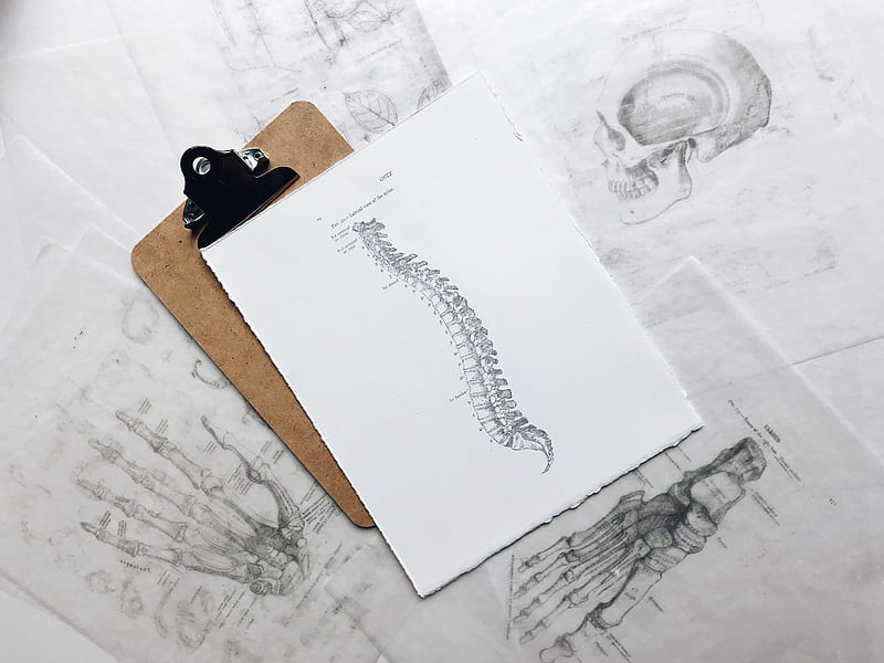 brown and black clipboard with white spinal cord print manual, HD wallpaper