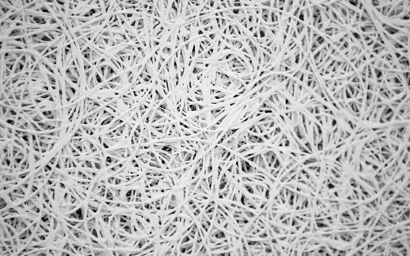 thread weaving texture macro, thread textures, white backgrounds, HD wallpaper