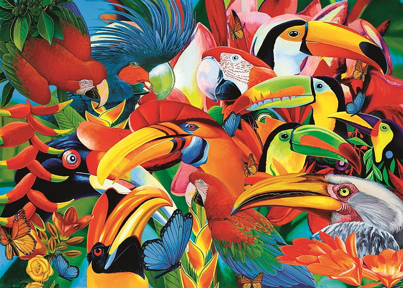 Exotic birds, colorful, exotic, bird, papagal, texture, pasari, parrot, toucan, HD wallpaper
