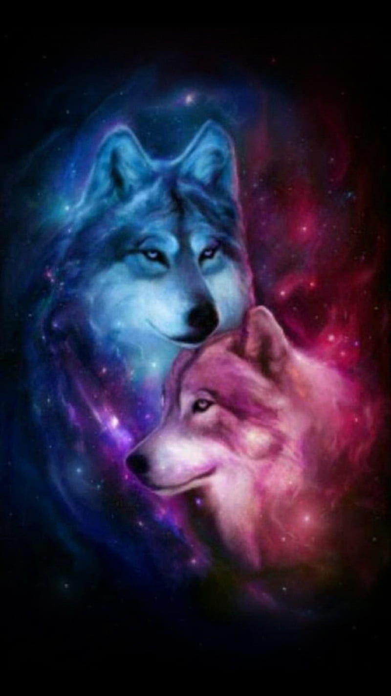 Wolfs in love, boy, girl, wolf, HD phone wallpaper