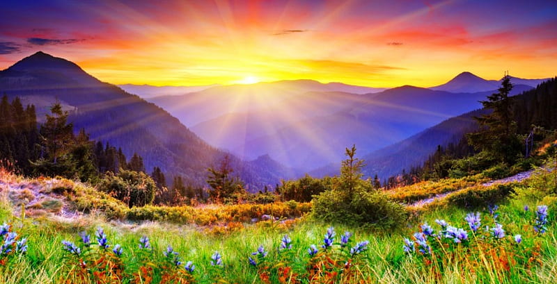 Mountain sunrise, s rays, colorful, amazing, glow, grass, sunlight, bonito, spring, sky, valley, mountain, rays, wildflowers, sunshine, meadow, HD wallpaper