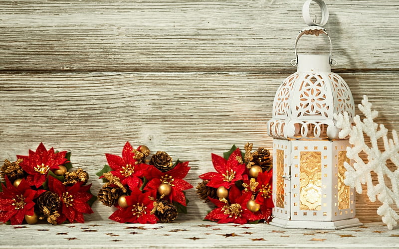 Merry Christmas!, red, lantern, craciun, christmas, card, flower, white, poinsettia, wood, HD wallpaper