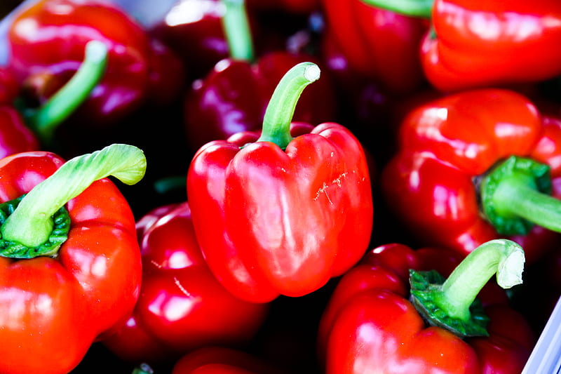 bunch of red bell peppers, HD wallpaper