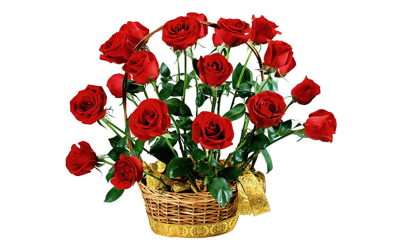 Canasta de rosas mi regalo para todos en dn, ramo, canasta, Fondo de pantalla HD | Peakpx