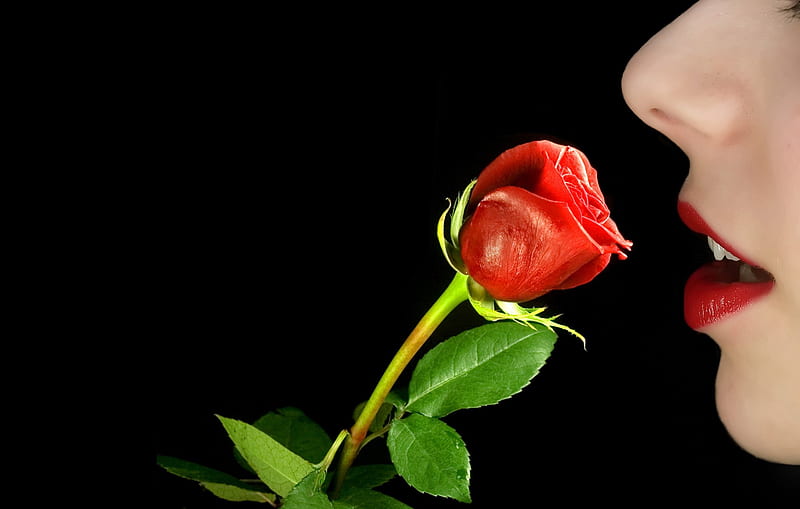 Kiss of Rose, flowers, rose, woman, lips, HD wallpaper