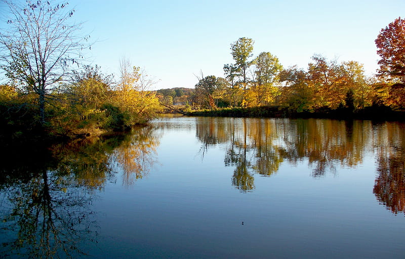 Cumberland River, fall, autumn, water, cumberland, river, trees, sky, HD wallpaper