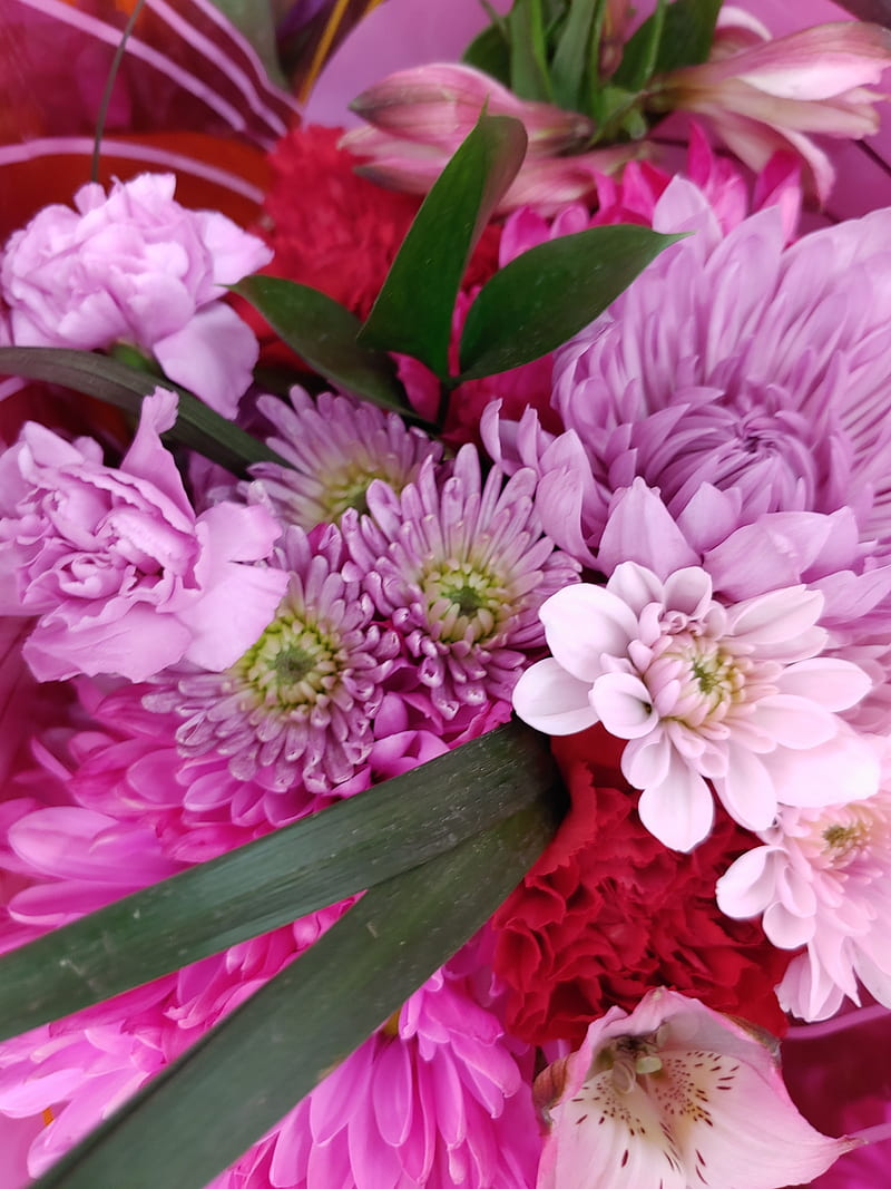 Pink Bouquet, bonito, bouquet, carnation, carnations, flower, floral ...