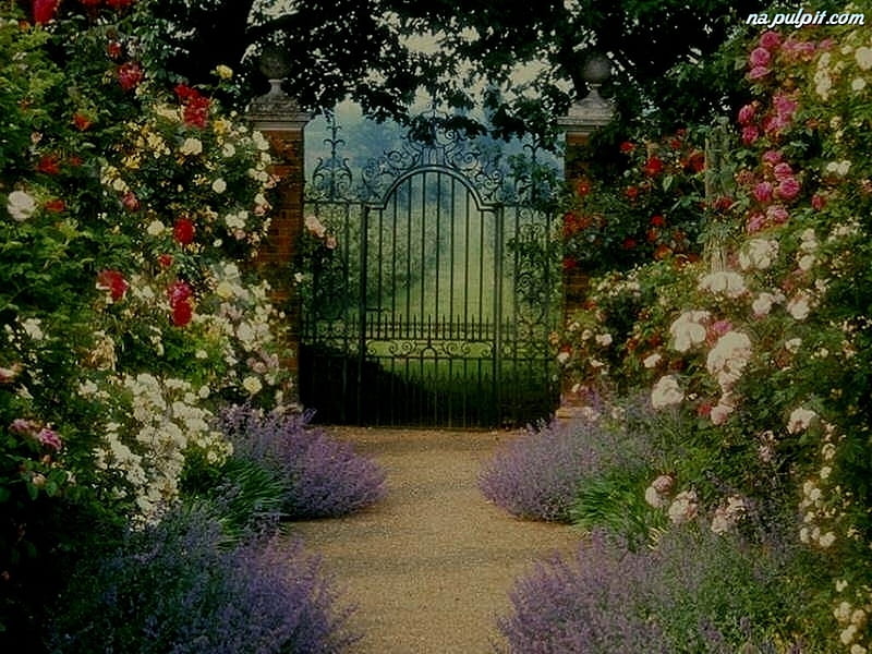 Enchanting Garden, plants, blossoms, path, roses, door, HD wallpaper