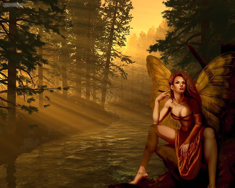Fairy Idyll Sun Smoking Fairy Woods HD Wallpaper Peakpx