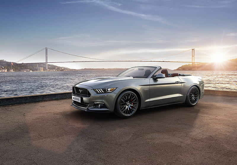 Ford Mustang New 2019, ford-mustang, mustang, carros, HD wallpaper