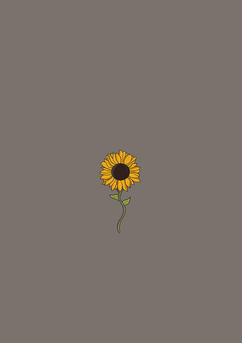 Sunflower, dandelions, fantasy, flower, love, marron, nature, sunflowers,  HD phone wallpaper | Peakpx