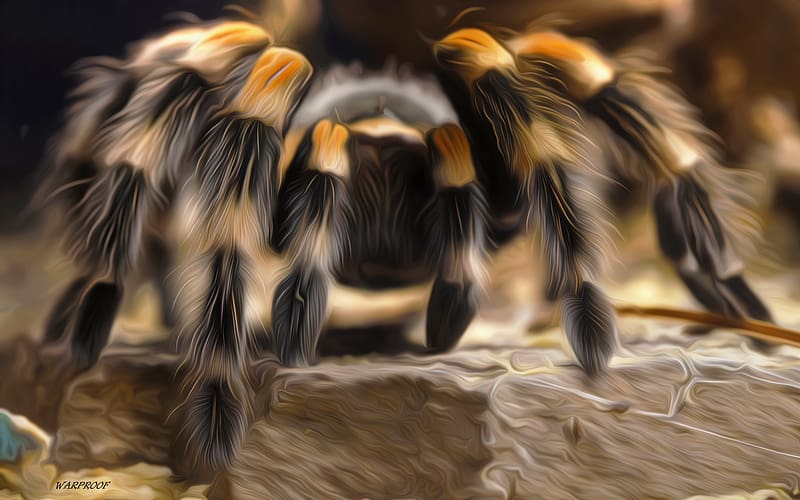 Spiders, Animal, Spider, Tarantula, Oil Painting, HD wallpaper
