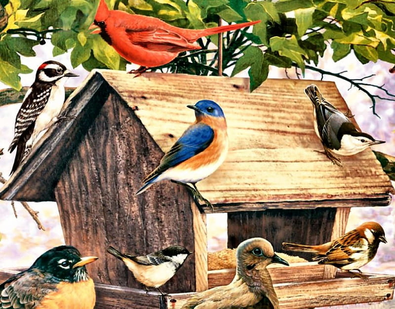 Birds at the Wooden Feeder F, feeder, robin, artwork, bluebird, animal, chickadee, painting, wide screen, sparrow, art, nuthatch, bird, avian, dove, wildlife, woodpecker, cardinal, HD wallpaper