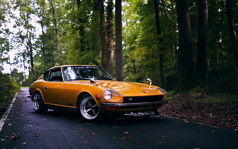 Classic from the 70's, 240Z, Forest, carros, Datsun, HD wallpaper