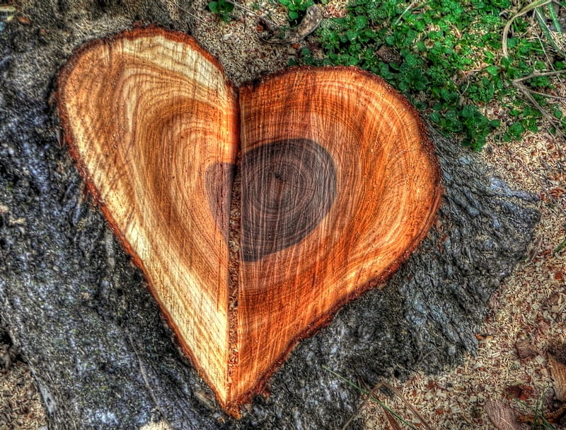 I Chopped My Heart for You, valentine, wood, chopped, heart, HD wallpaper