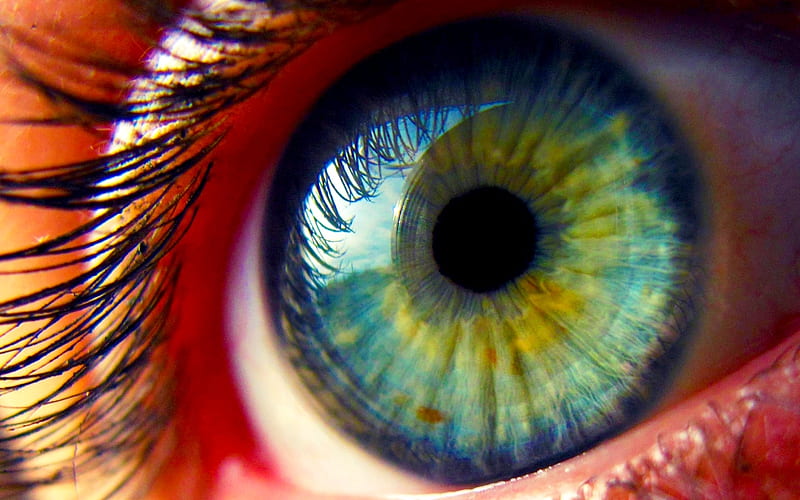 The pupil, red, green, eye, pupil, blue, HD wallpaper