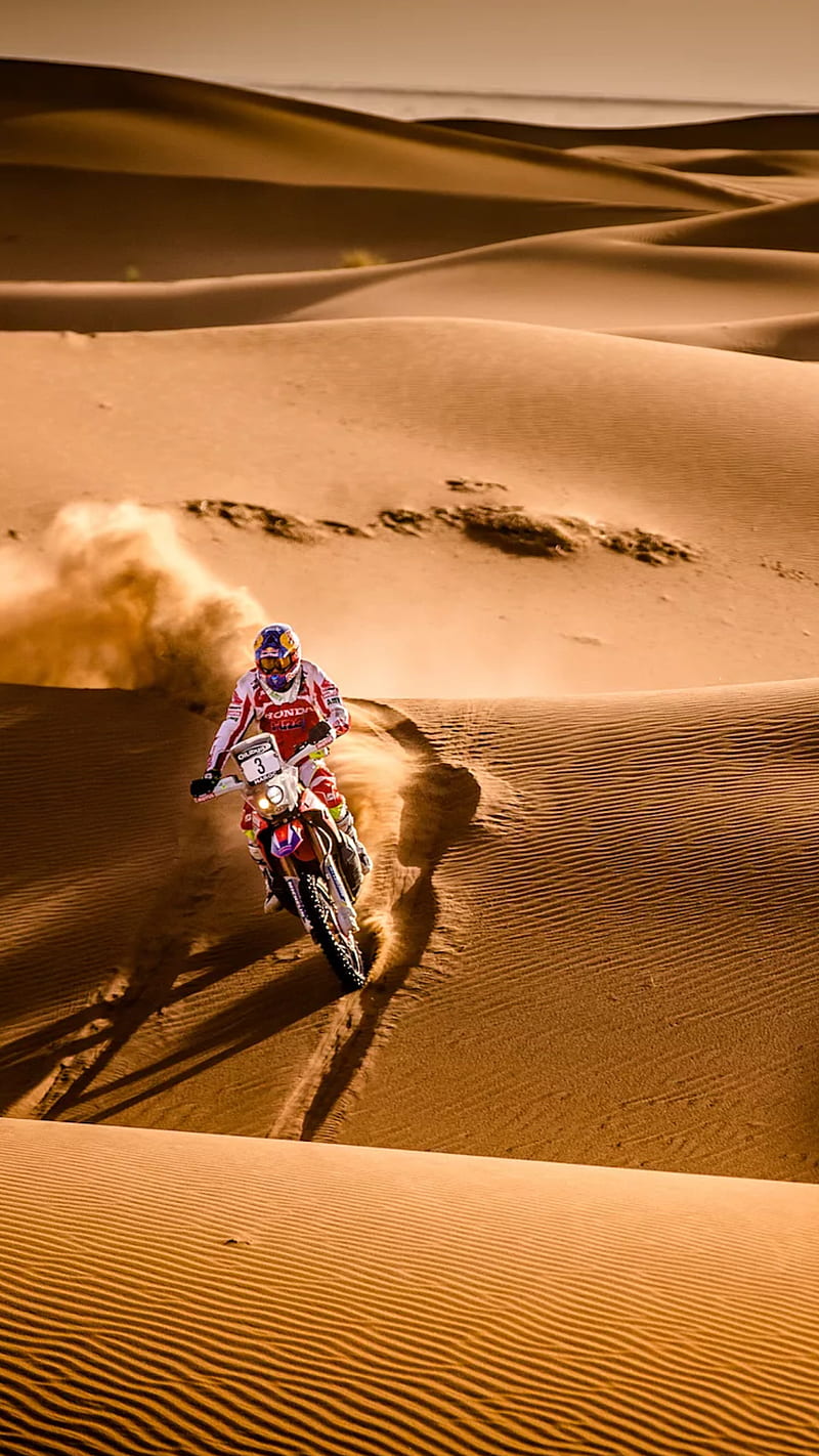 motorcross, motorcycle, bike, esports, desert, safari, sand, dust, HD phone wallpaper