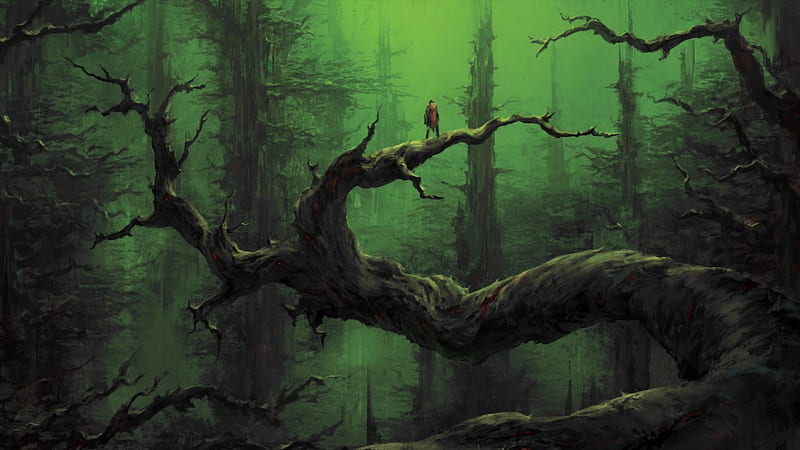 Old World, forest, darkness, apocalyptic, dark forest, trees, fog, HD  wallpaper | Peakpx