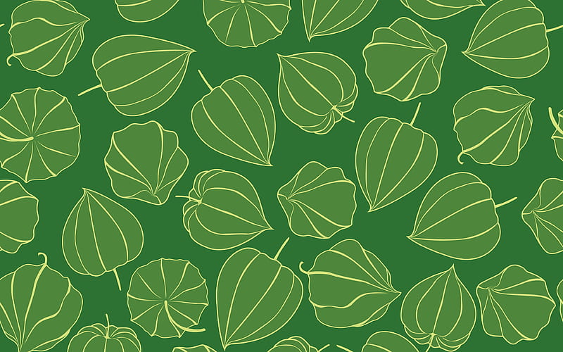 green physalis pattern floral patterns, decorative art, green flowers, Physalis patterns, abstract physalis pattern, background with physalis, floral textures, physalis pattern, HD wallpaper
