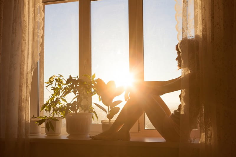 Good Morning, sun, window, curtains, plants, ledge, women, HD wallpaper