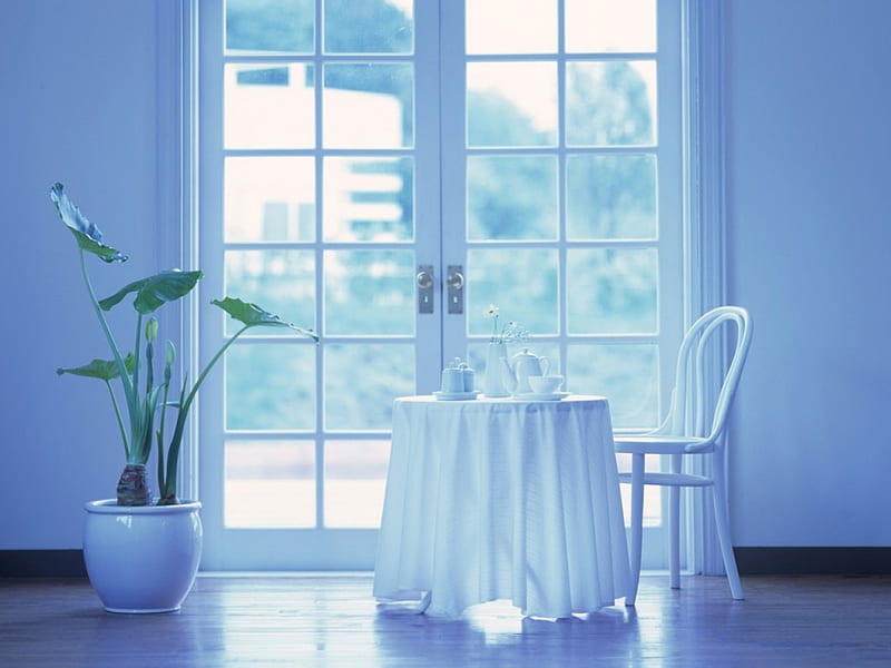 Balcony, table, tea cup, plants, table cloth, interior, HD wallpaper