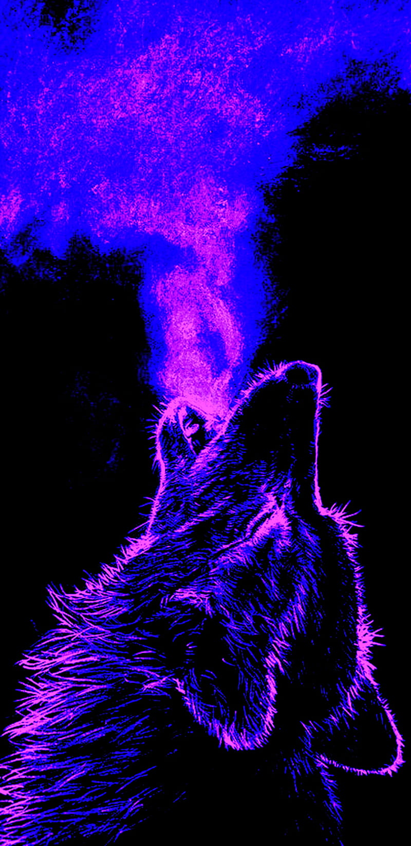 Wolf Creatures Wolfs Hd Phone Wallpaper Peakpx