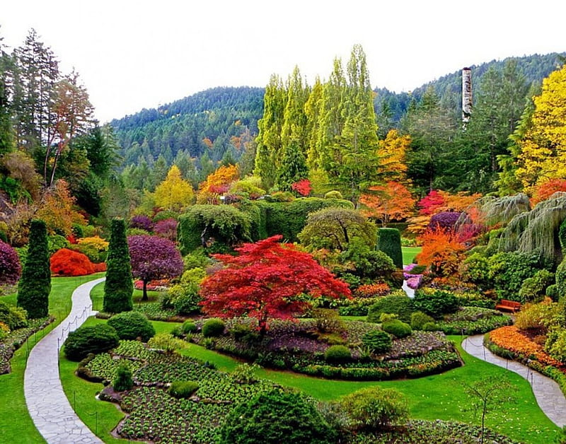 Butchart Gardens, Canada, autumn, path, colors, trees, landscape, HD wallpaper