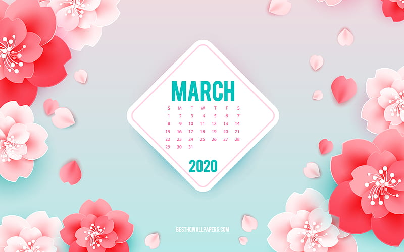 2020 March Calendar, pink flowers, March, spring art, 2020 spring calendars, spring background with flowers, March 2020 Calendar, paper flowers, HD wallpaper
