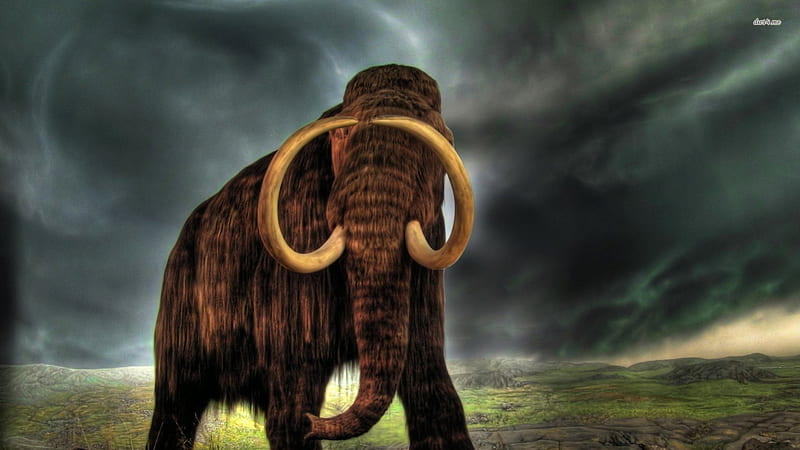 Mammoth, BEAUTY, NATURE, ART, HISTORY, HD wallpaper