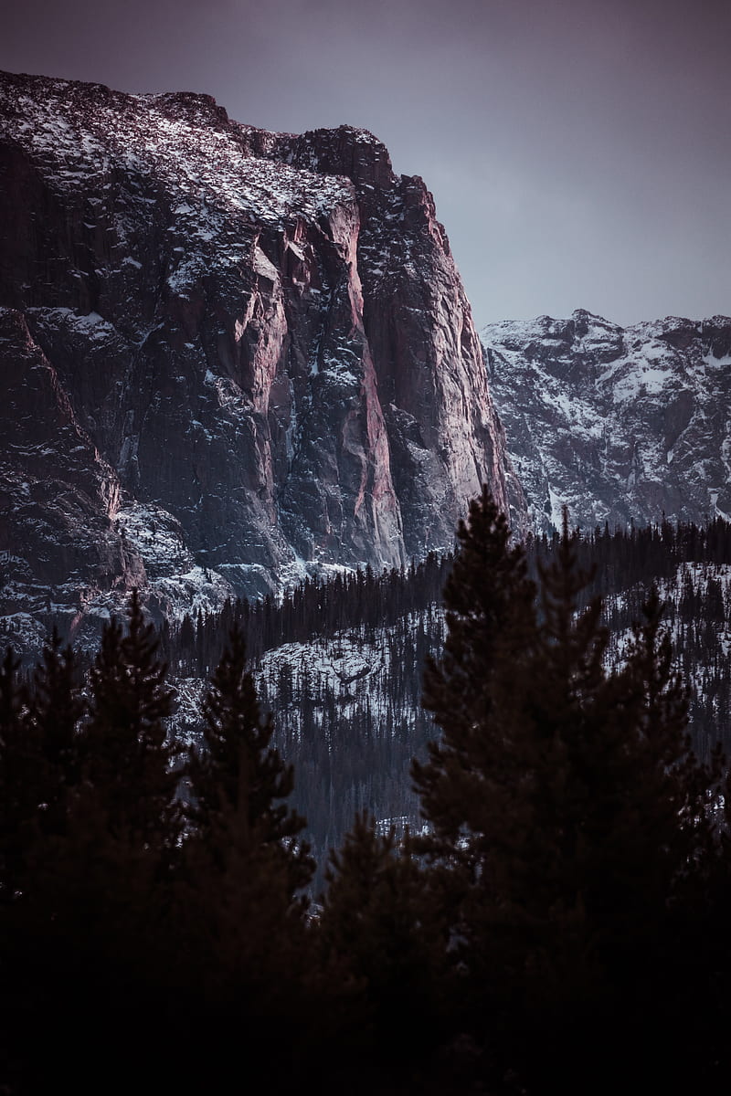 mountains, rocks, trees, snowy, landscape, HD phone wallpaper