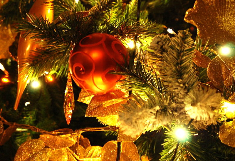 Christmas at home, ornaments, christmas tree, lights, gifts, HD ...