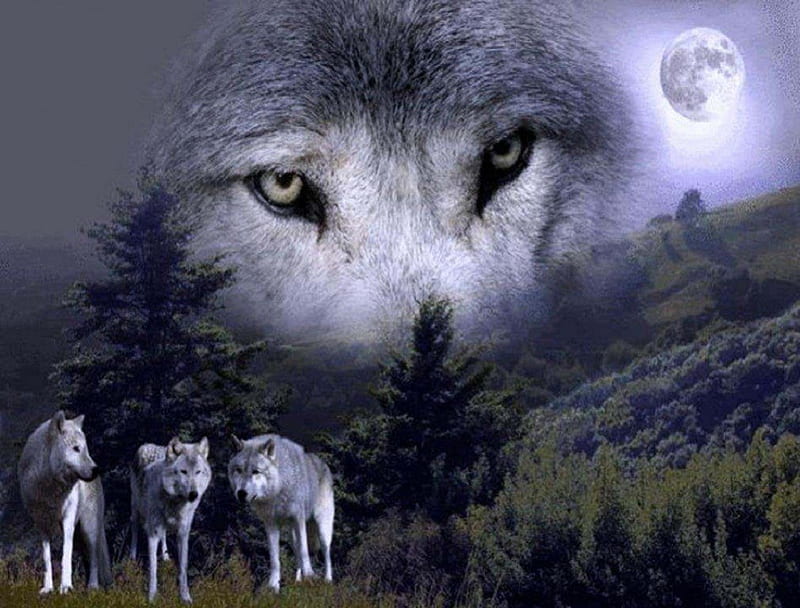 My Brother's Spirit, fantasy, moon, trees, wolves, abstract, animals, HD wallpaper