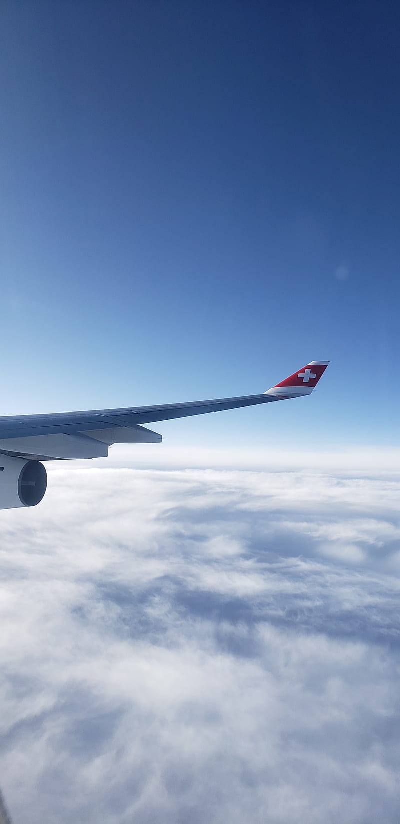 Swiss Wing, air, aircraft, airplane, flight, jets, logo, swiss, swiss air, water, window, HD phone wallpaper