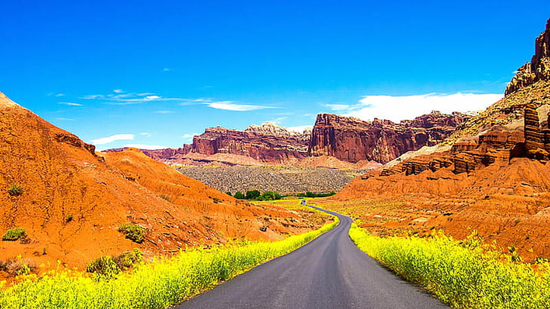 Road Between Yellow Flowers Green Plants And Landscape View Of Red Rock Mountains Scenery, HD wallpaper