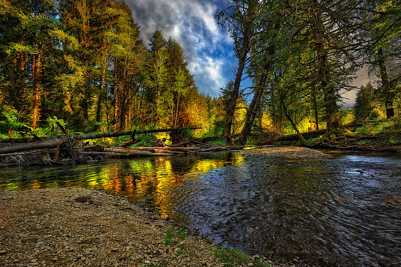 River-R wet, background, sunset, nice, stones, gold, multicolor, creeks, bright, paisage, wood, art, brightness, pacific, white, little, ambar, bonito, artwork, leaves, roots, green, amber, beije, blue, forest, silence, maroon, paisagem, r, nature branches, pretty, riverbank, orange, yellow, clouds, lightness, calm, beauty, forests, sunrise, reflection, , lovely, paysage, golden, trees, sky, panorama, water, cool, serenity, awesome, landscape, colorful, brown, gray, trunks graphy, grove, river, light, tranquility, amazing, calmness, multi-coloured, colors, leaf, serene, peaceful, colours, natural, reflux, HD wallpaper