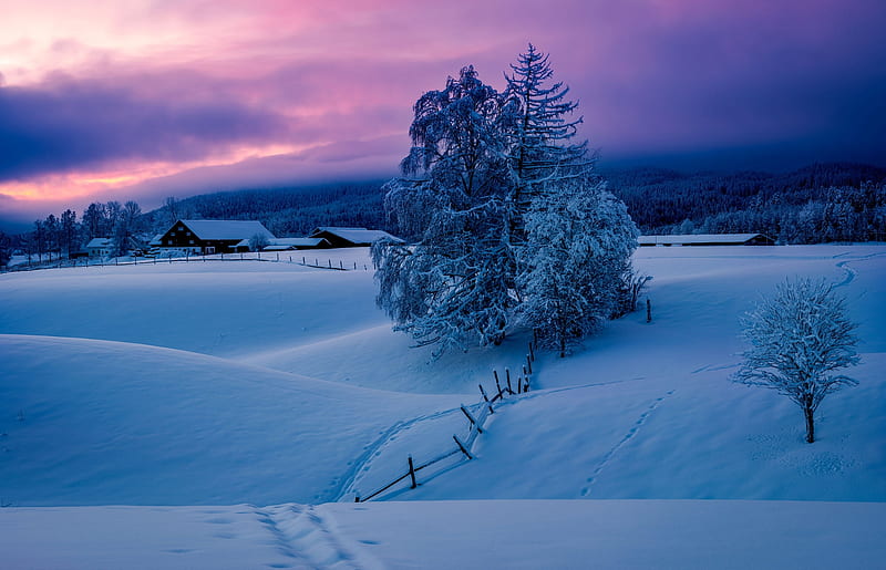 Vacanta de Iarna  Winter  Nature Background Wallpapers on Desktop Nexus  Image 973922