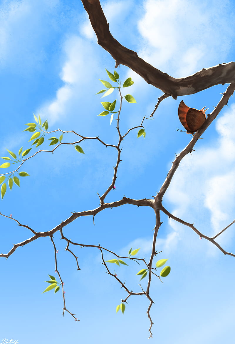 branch, butterfly, sky, clouds, art, HD phone wallpaper