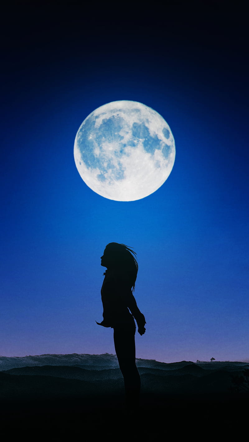 HD desktop wallpaper Night Moon Silhouette Cat Tree Artistic Little  Girl download free picture 741900