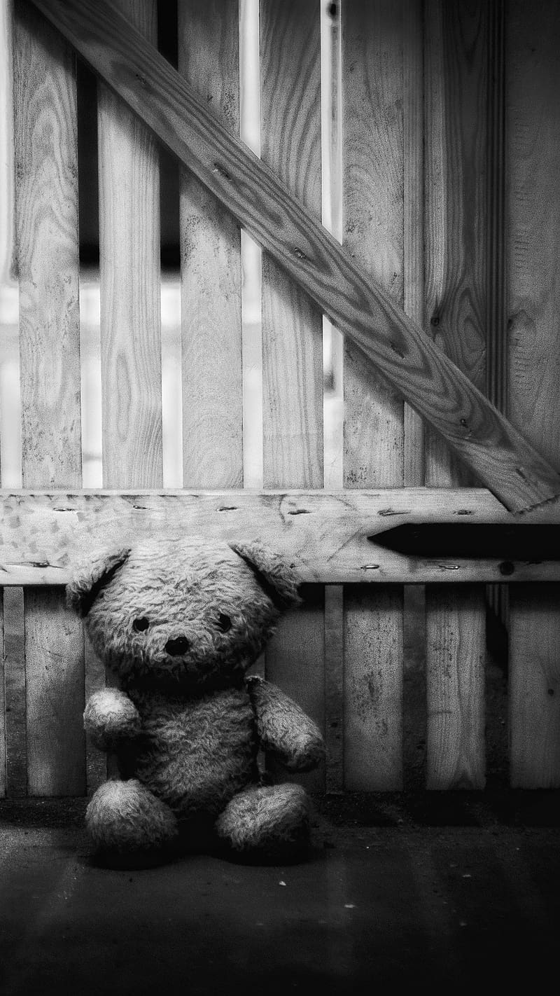 Big Teddy Bear In Black And White, big teddy bear, black and white, teddy, stuff toy, HD phone wallpaper