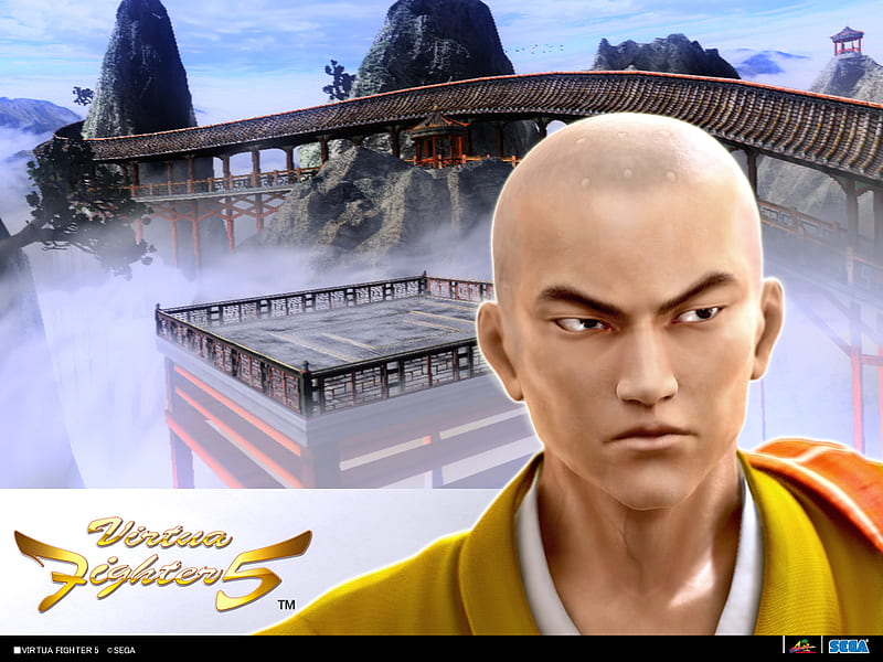 Monk, fighting, action, video game, virtua fighter 5, HD wallpaper