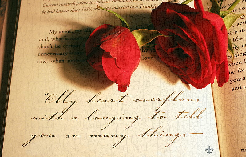 Distant Love, red roses, open book, still life, texture, love letter, HD wallpaper