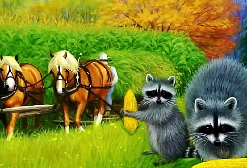 Harvest Time, raccoons, painting, artwork, horses, field, corn cobs, HD wallpaper