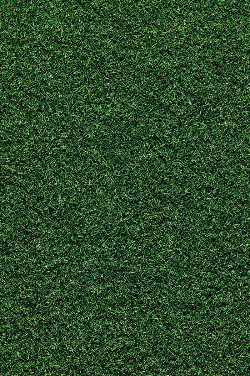 grass, field, pitch, green, HD phone wallpaper