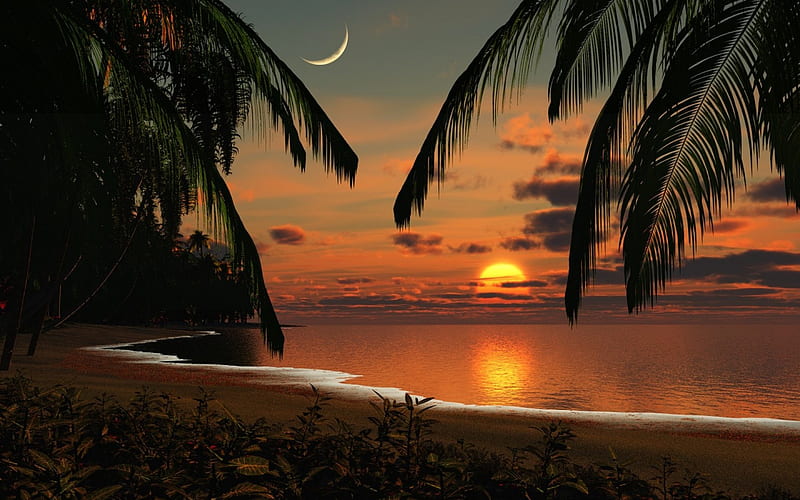 sunset, beach, moon, ocean, wds, sky, palms, HD wallpaper