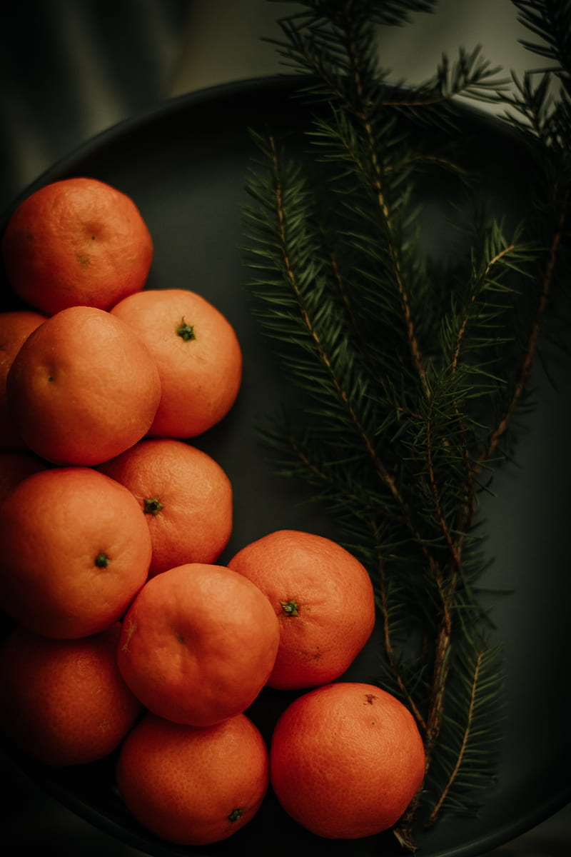 tangerines, branch, spruce, fruit, citrus, HD phone wallpaper
